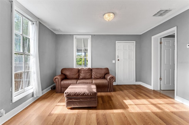 living room featuring light wood-type flooring and a healthy amount of sunlight