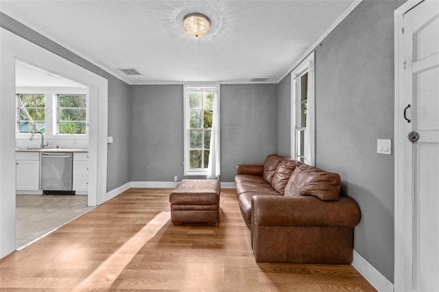 living room with sink and light wood-type flooring