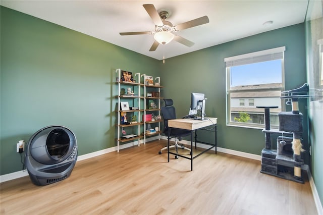 office featuring ceiling fan and light hardwood / wood-style flooring