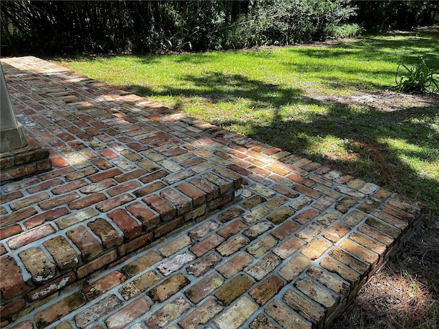 view of yard with a patio area