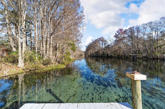 dock area with a water view