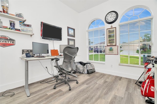 office featuring light hardwood / wood-style floors and plenty of natural light