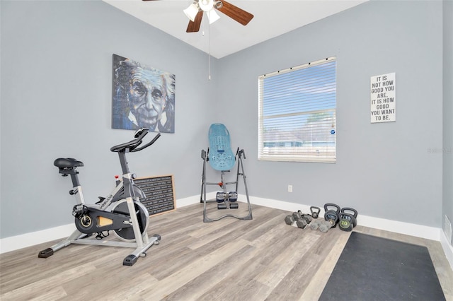 workout room with light wood-type flooring and ceiling fan