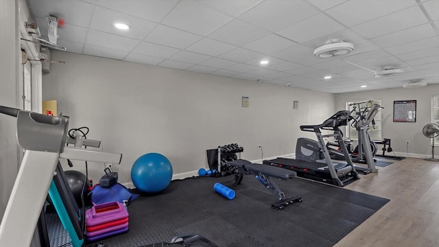 exercise room featuring hardwood / wood-style flooring and a drop ceiling