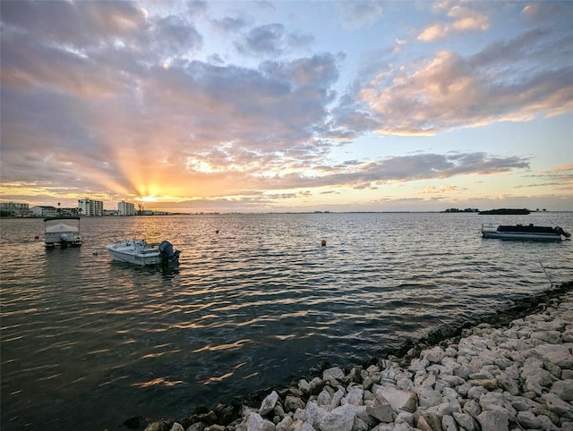 property view of water with a dock