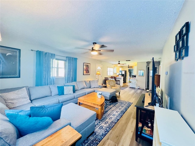 living room with ceiling fan, a textured ceiling, and light hardwood / wood-style flooring