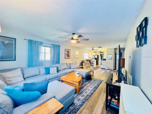 living room featuring a textured ceiling, a ceiling fan, and wood finished floors