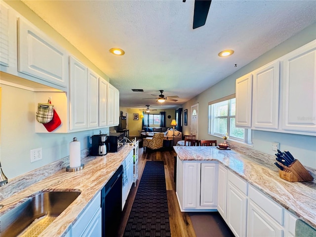 kitchen with ceiling fan, light stone counters, dark hardwood / wood-style flooring, and white cabinetry