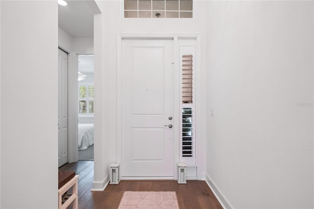 entrance foyer with dark wood-type flooring