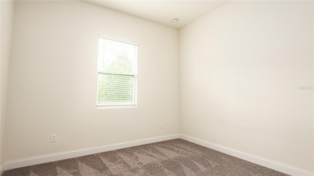 unfurnished room with carpet and a wealth of natural light