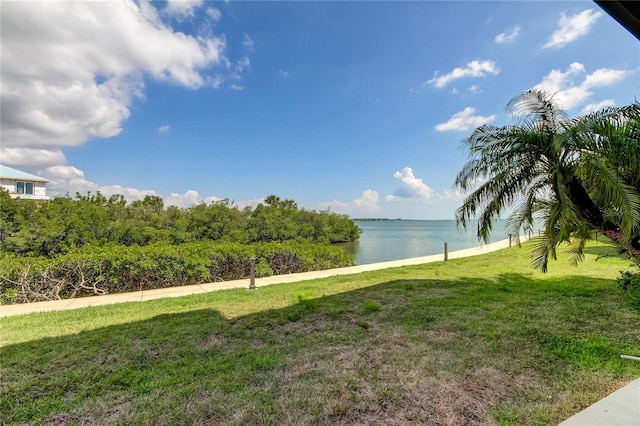 view of home's community with a water view and a yard