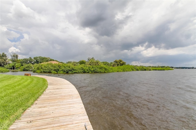 dock area with a water view