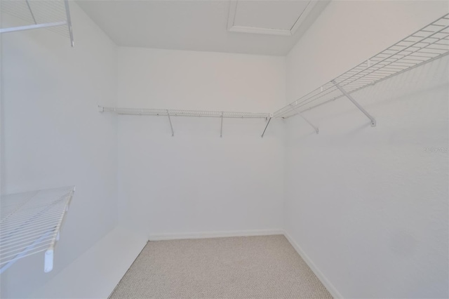 walk in closet with light carpet