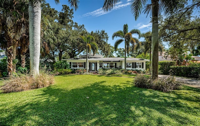 ranch-style home with a front lawn