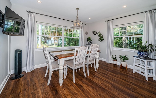 dining room featuring plenty of natural light and dark hardwood / wood-style flooring