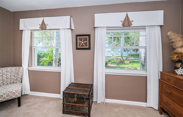 sitting room featuring a wealth of natural light and light carpet