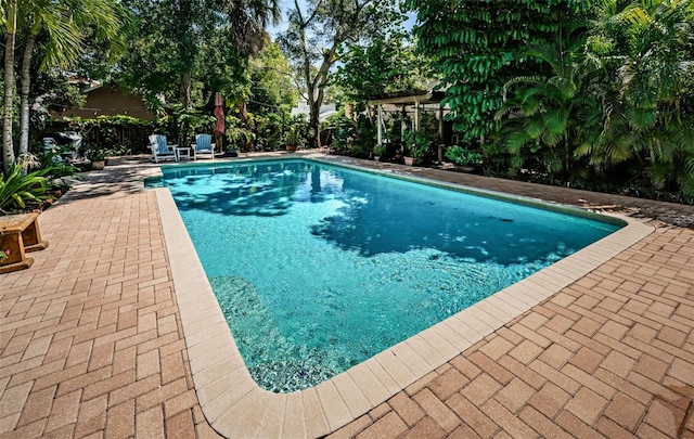 view of pool with a patio