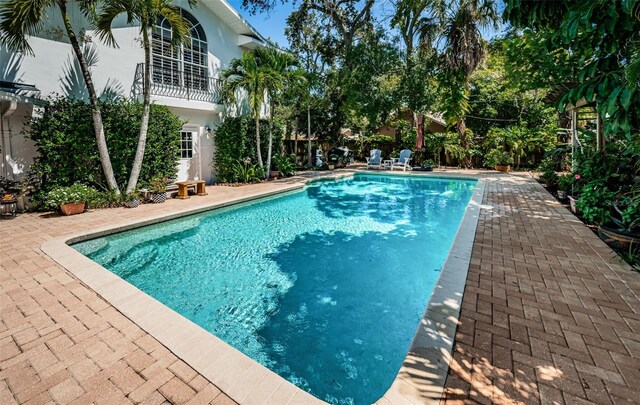 view of pool with a patio area