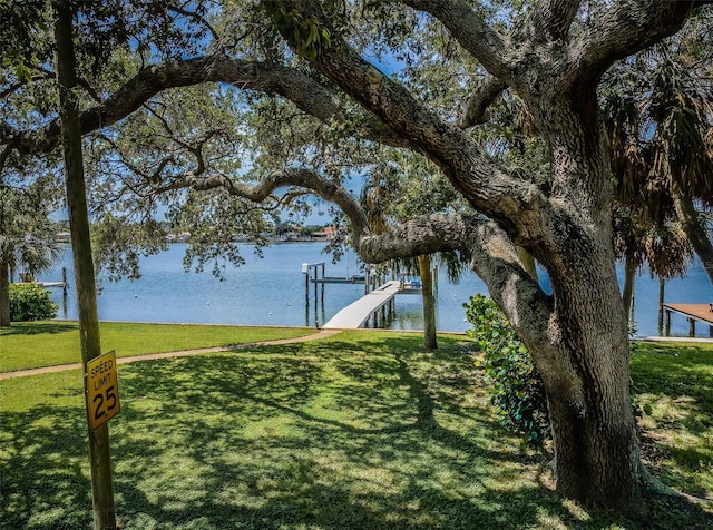 view of water feature with a dock