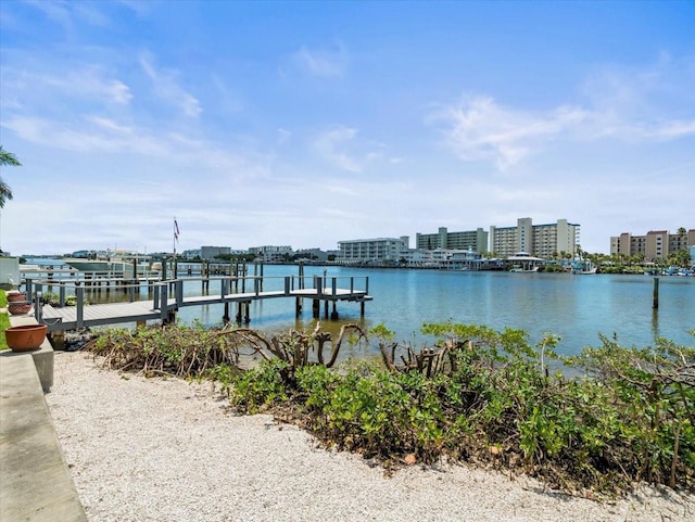 dock area with a water view