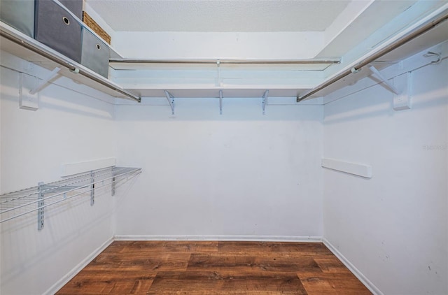 walk in closet featuring dark wood-type flooring