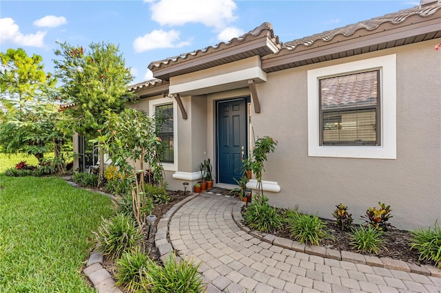 doorway to property featuring a lawn