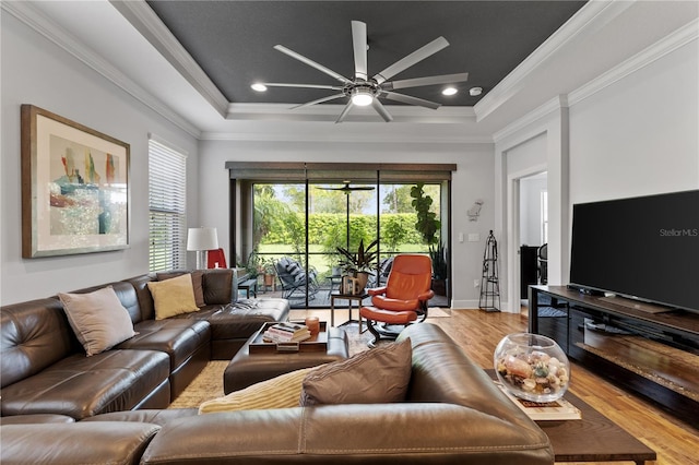 living room with ceiling fan, a raised ceiling, light hardwood / wood-style floors, and crown molding