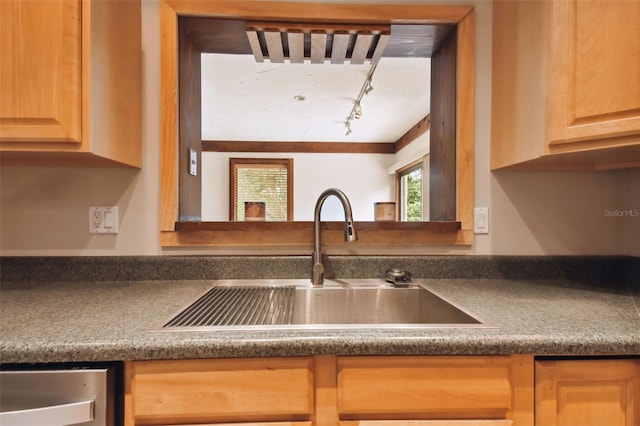 kitchen with sink, ornamental molding, and track lighting