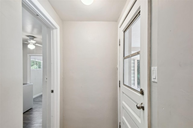 doorway featuring hardwood / wood-style floors, washer / clothes dryer, and ceiling fan