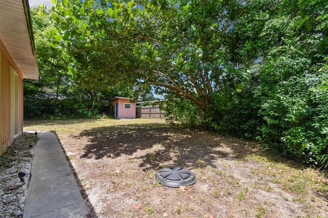 view of yard with a storage unit