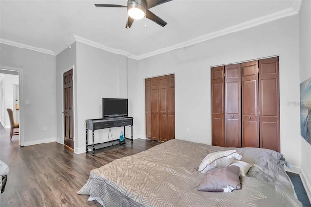 bedroom featuring wood-type flooring, two closets, ceiling fan, and crown molding