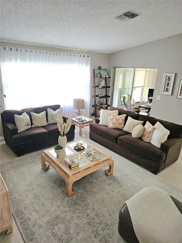 living room featuring a textured ceiling, vaulted ceiling, and plenty of natural light