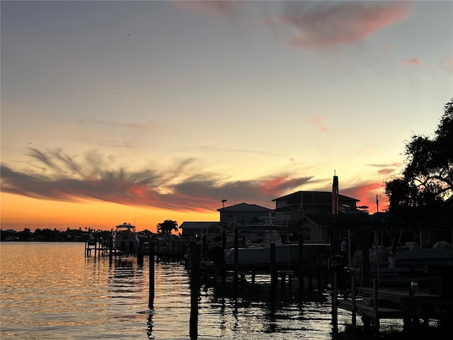 dock area featuring a water view