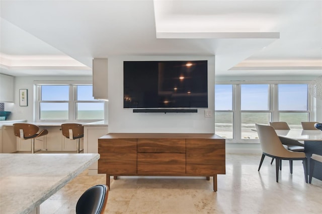 living room featuring a raised ceiling