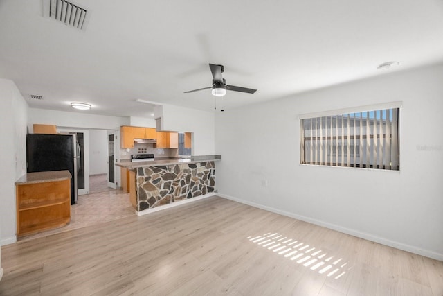 living room with ceiling fan and light hardwood / wood-style flooring