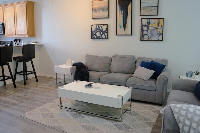 living room with light wood-type flooring