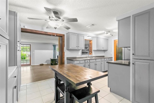 kitchen with a textured ceiling, ceiling fan, rail lighting, and sink