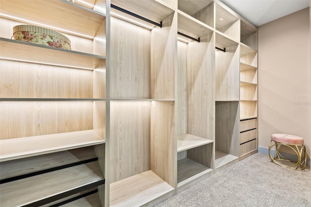 spacious closet featuring carpet flooring