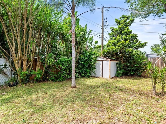 view of yard with a shed