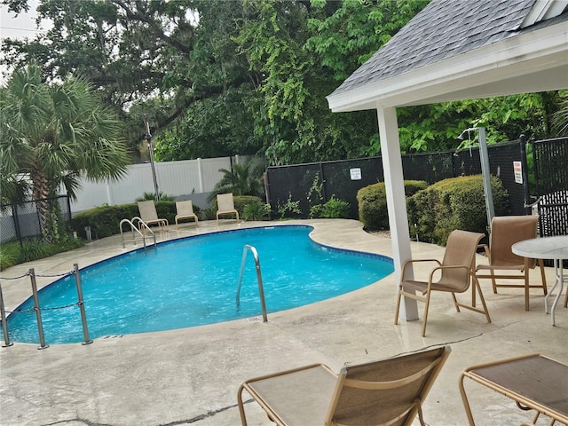 view of pool featuring a patio area