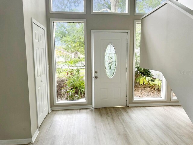 entrance foyer featuring plenty of natural light and light hardwood / wood-style floors