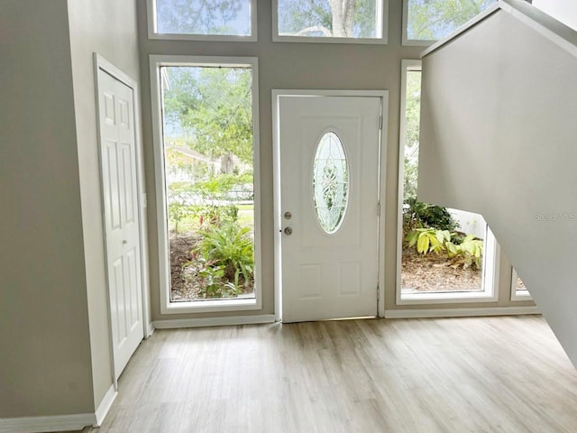 entryway with baseboards and wood finished floors