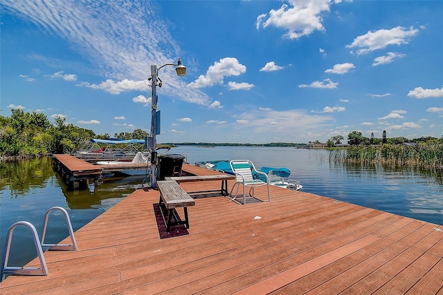 dock area with a water view