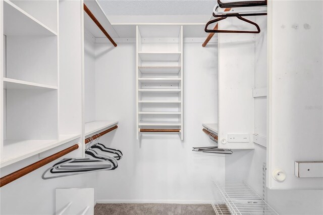 19029 US Highway 19 N Unit 12B, Clearwater, FL 33764 - walk in closet featuring carpet flooring
