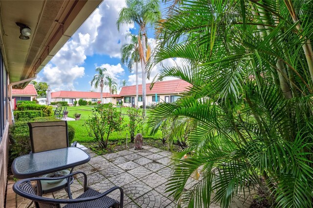 19029 US Highway 19 N Unit 12B, Clearwater, FL 33764 - view of patio
