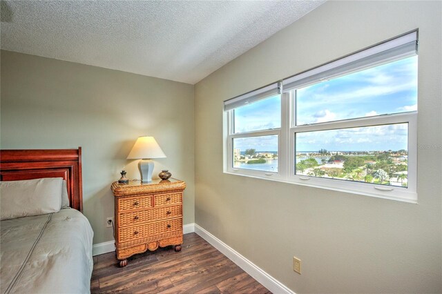 bedroom featuring multiple windows, dark hardwood / wood-style floors, and a textured ceiling