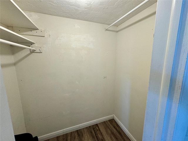 spacious closet featuring wood-type flooring