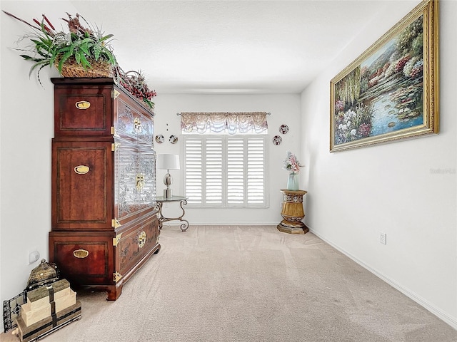 sitting room with light carpet