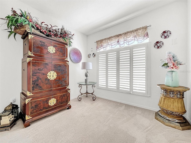 living area with carpet