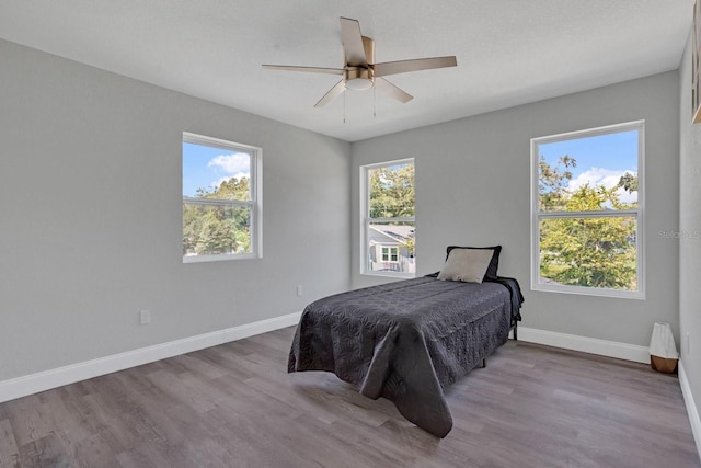 bedroom featuring light hardwood / wood-style floors and multiple windows